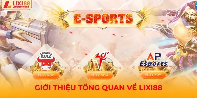 Giới thiệu tổng quan về Lixi88