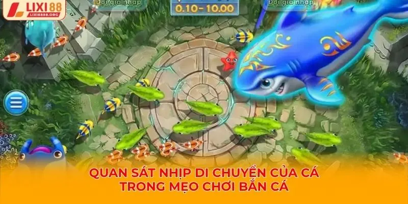 Quan sát nhịp di chuyển của cá trong mẹo chơi bắn cá
